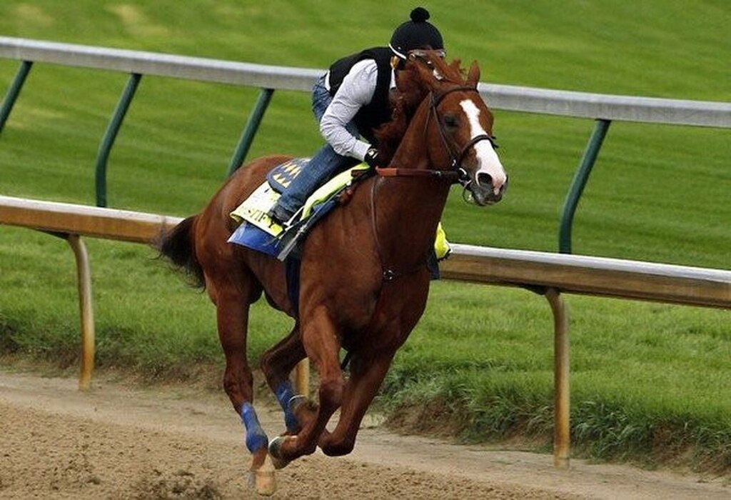 What horse should i bet on kentucky derby entries